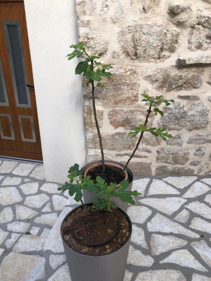 Old Town Apartment Tonka Hvar Town Kültér fotó